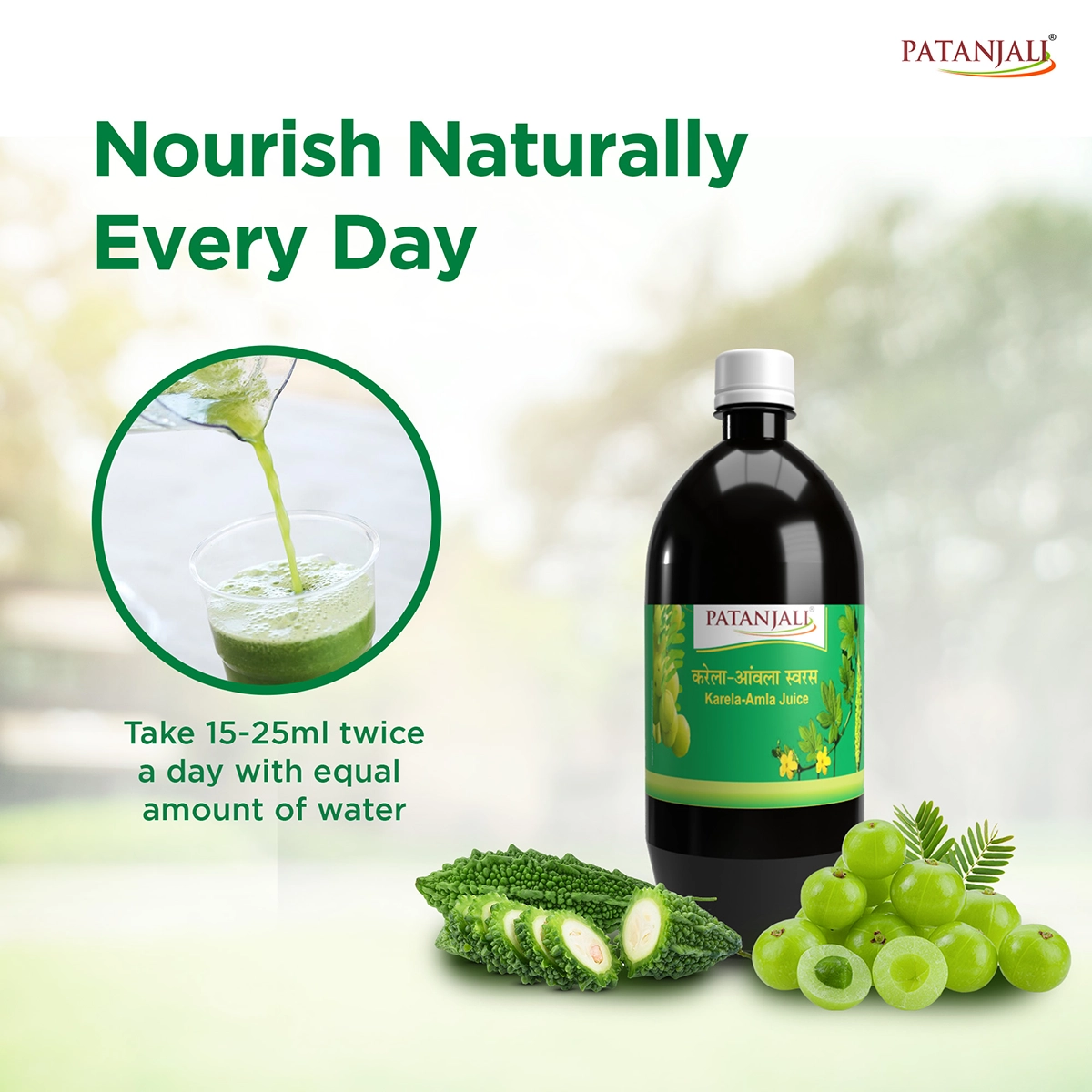 Patanjali Karela Amla Juice 450ml