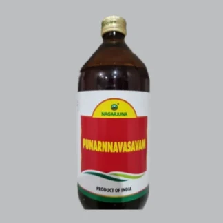Punarnnavasavam