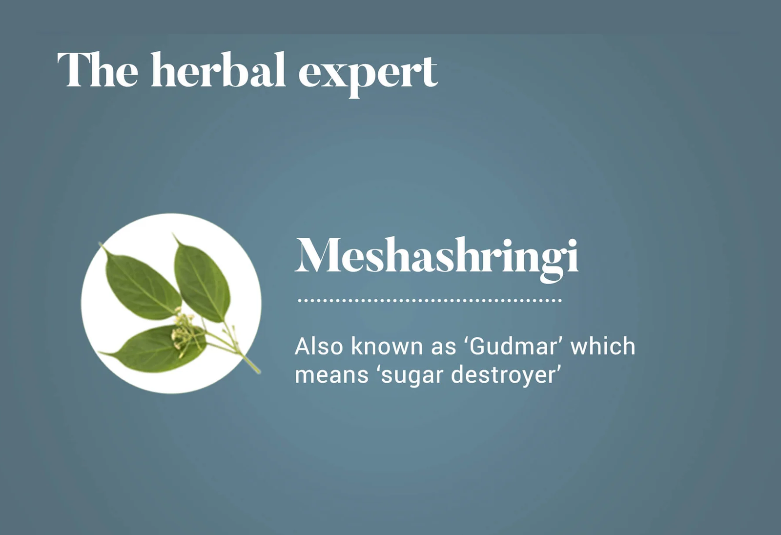 Himalaya Meshashiringi Metabolic Wellness 60 Tablets