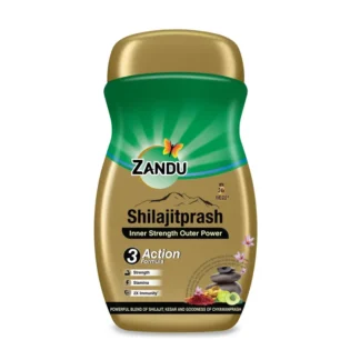 Zandu Shilajitprash 500gm