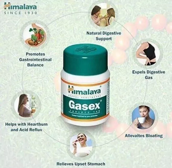 Himalaya Gasex Tablets 100N