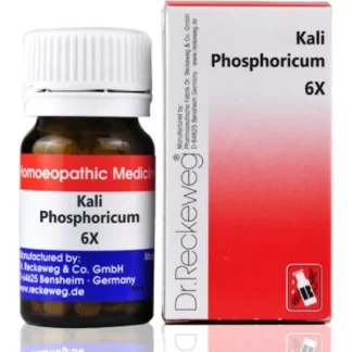 Dr. Reckeweg Kali phosphoricum 6X 20 g