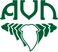AVN