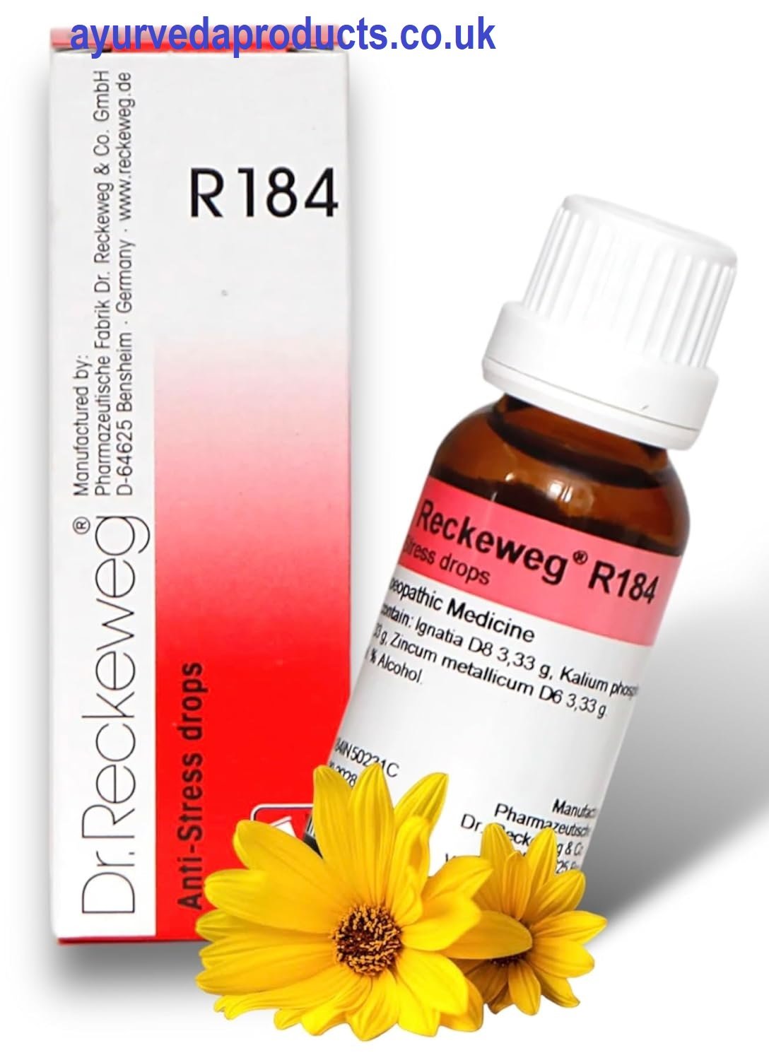 Dr. Reckeweg R184 22ml